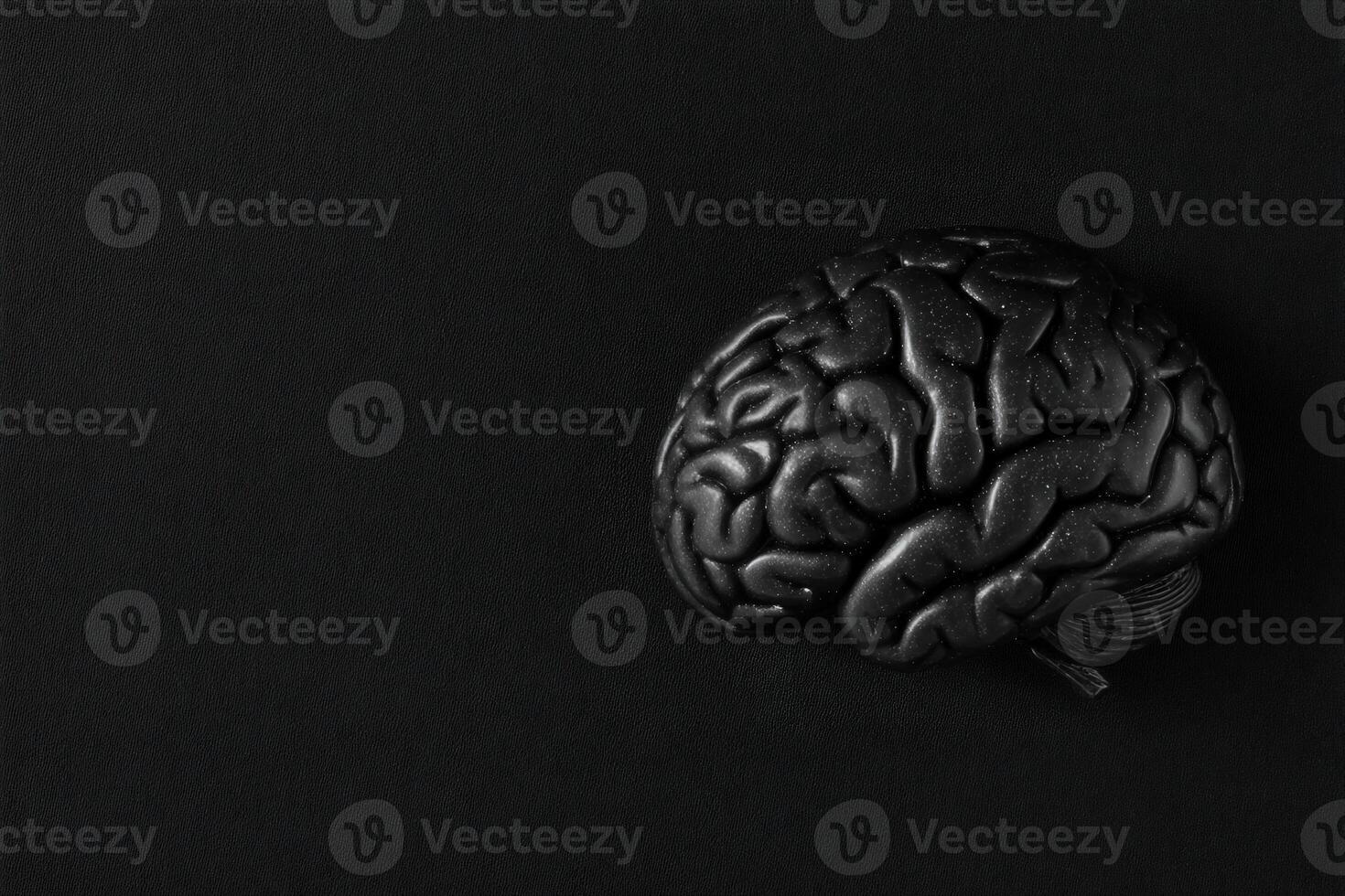 A detailed representation of a brain model rests on a black surface, emphasizing its complex structure and anatomy. photo