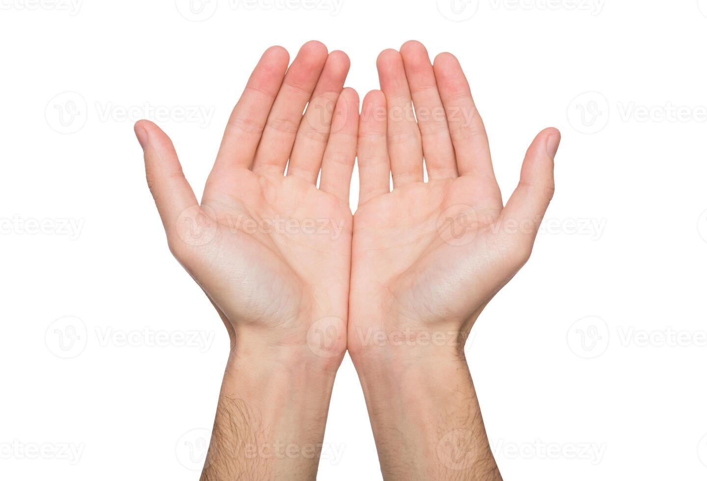 Keeping hands, empty cupped palms together isolated on studio white background - concept of charity, support, protection and care, close-up, copy space, cutout photo