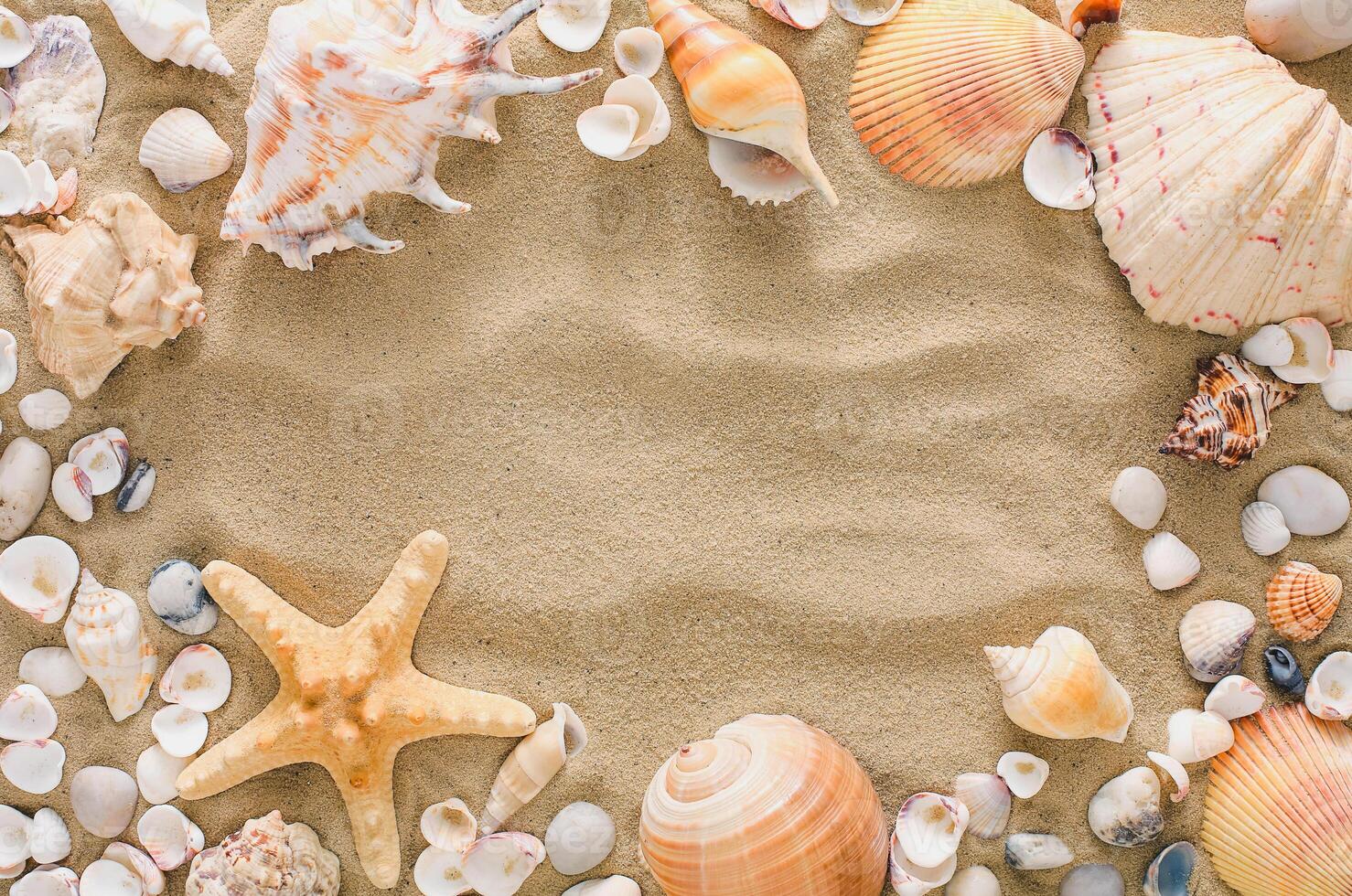 Seashells, starfish and sea pebbles frame on beach sand background. Natural seashore textured surface, top view, copy space photo