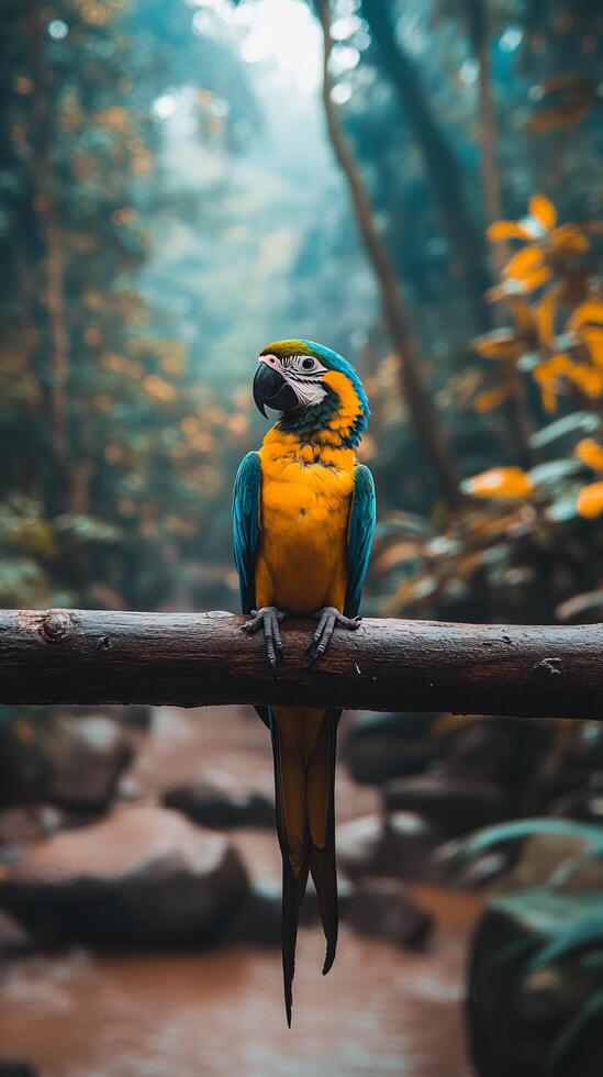 A colorful parrot sitting on a branch in the jungle photo