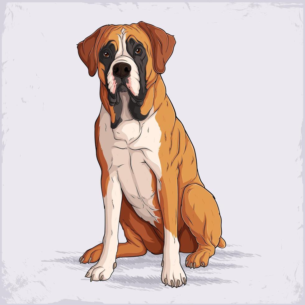 Hand drawn medium sized dog breed fawn Boxer sitting, short haired courageous, playful and loyal German boxer dog vector