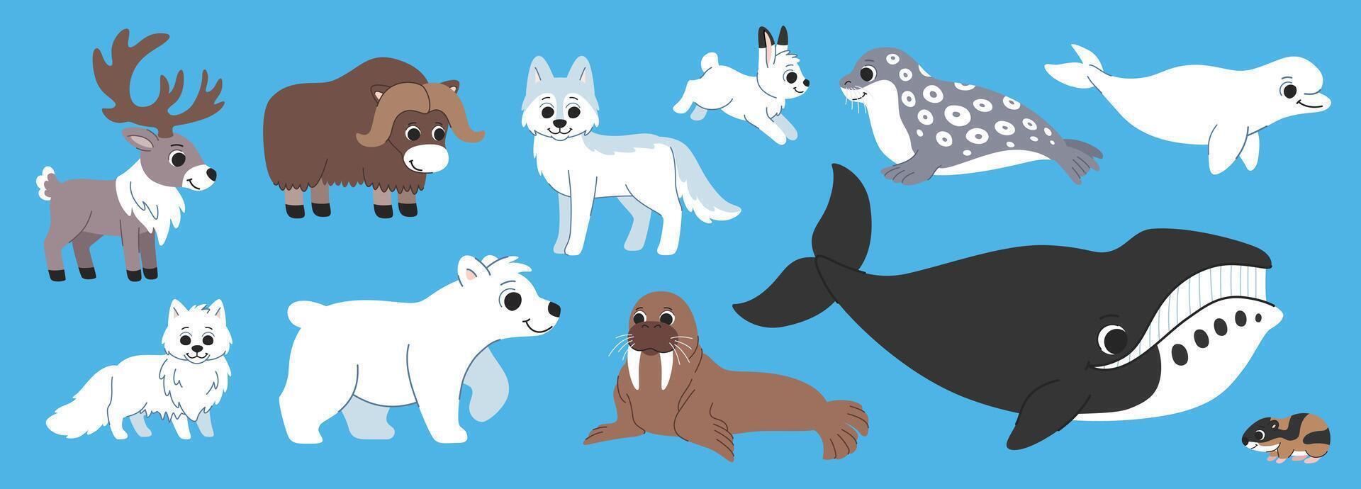 Children's northern animals cartoon set. Arctic inhabitants - polar bear, wolf, arctic fox, walrus, seal, caribou and other cute animals. vector
