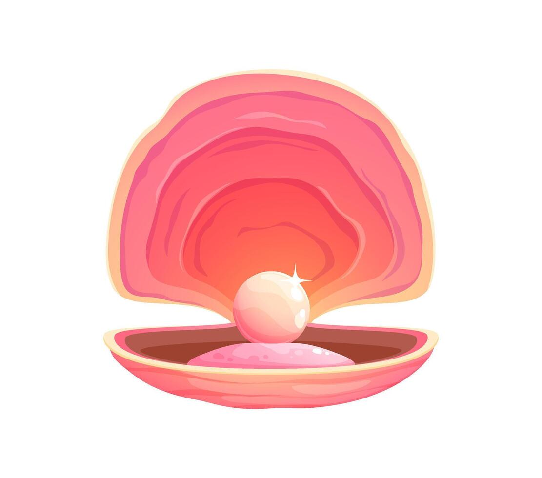 Cartoon pearl shell, underwater oyster and scallop vector