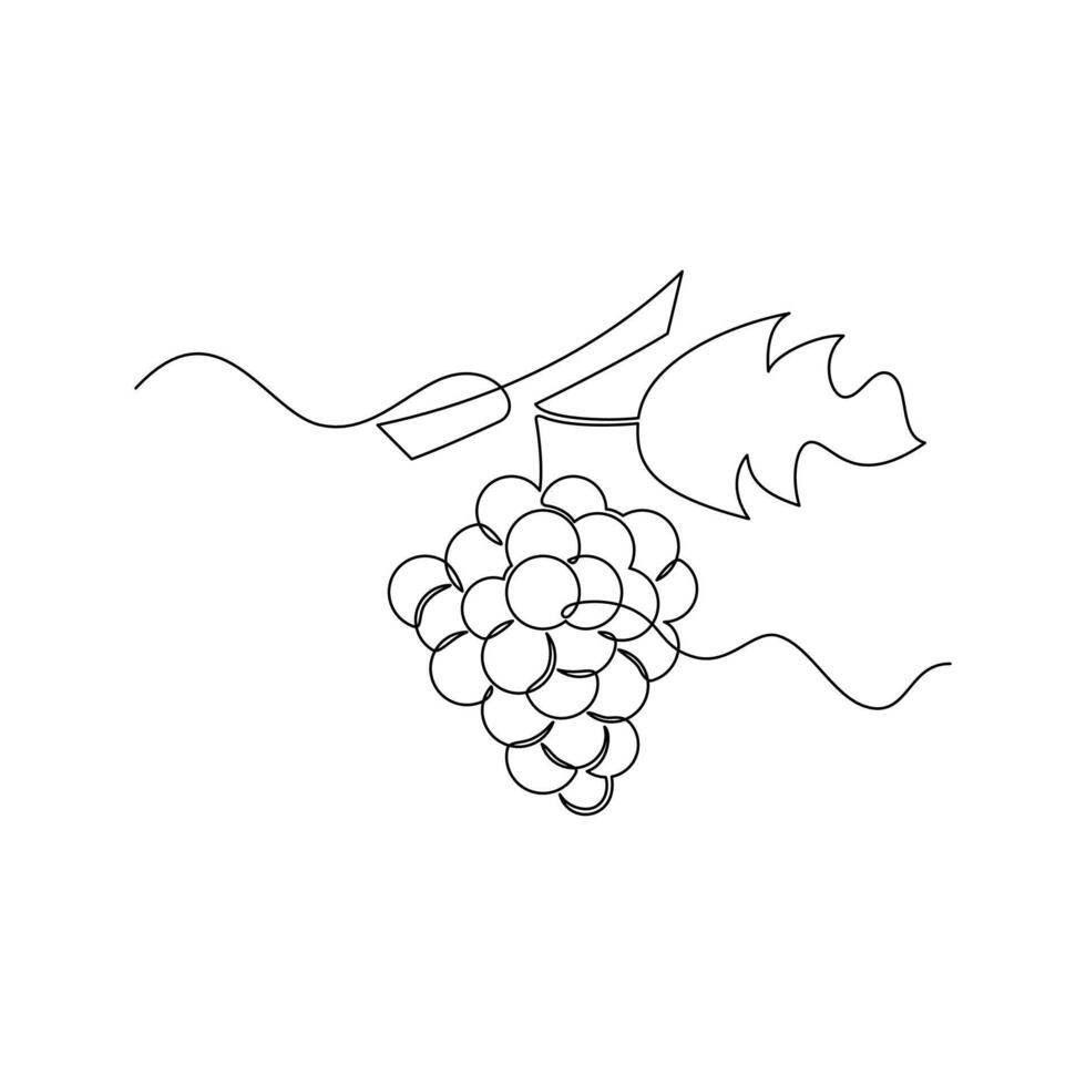 one line art Grape illustration. line art, one continuous line, simple, hand drawn and sketch style. for icons, symbols, signs or logos vector