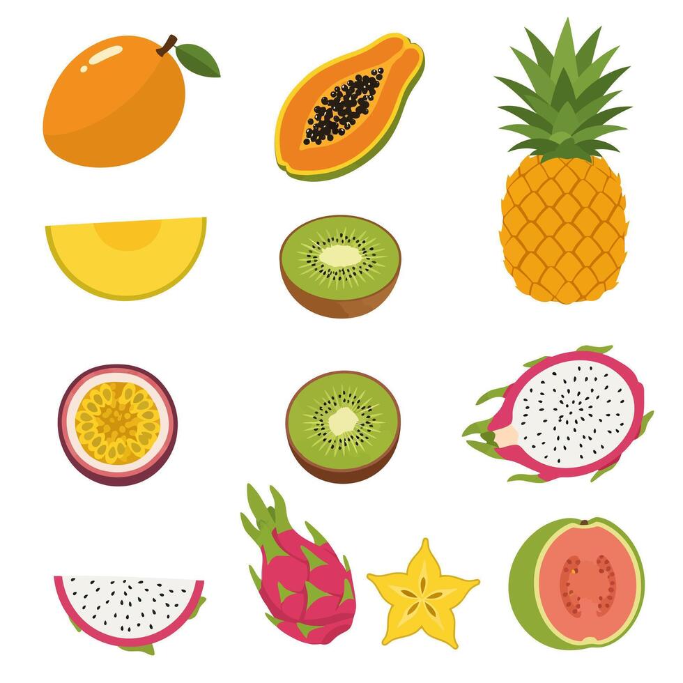 Exotic Fruits Set Mango with Papaya, Kiwi, and Pineapple. vector