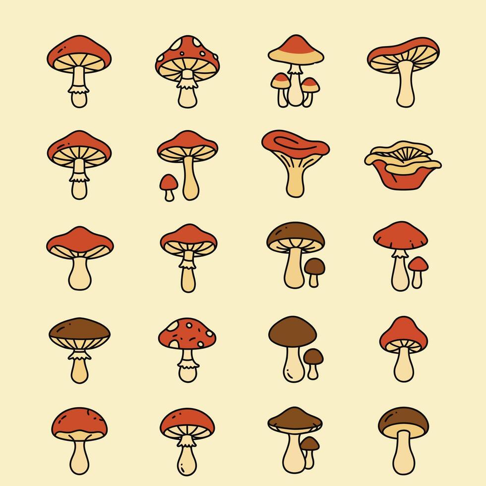 Mushroom Set with Isolated, and Beige Background. vector
