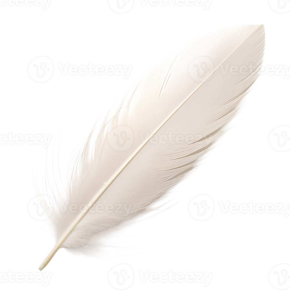 A single white feather isolated against a transparent background in a studio setting and soft lighting png