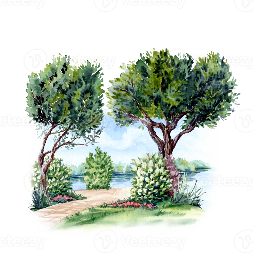 Landscape with tree in the riverside in watercolor technique png