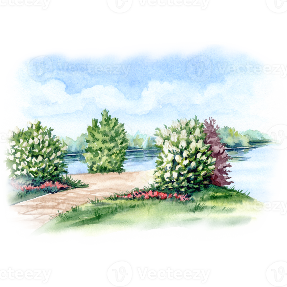 Landscape with Lawn with blooming bushes in the riverside in watercolor technique png