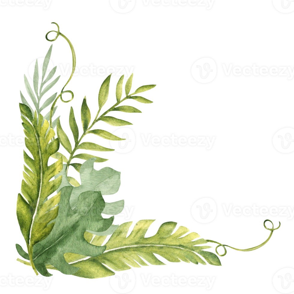 Tropical Leaves Corner Bouquet, Composition. Eucalyptus, Monstera and Banana Palm with Liana. Watercolor Composition. Hand drawn botanical illustration. For cards png