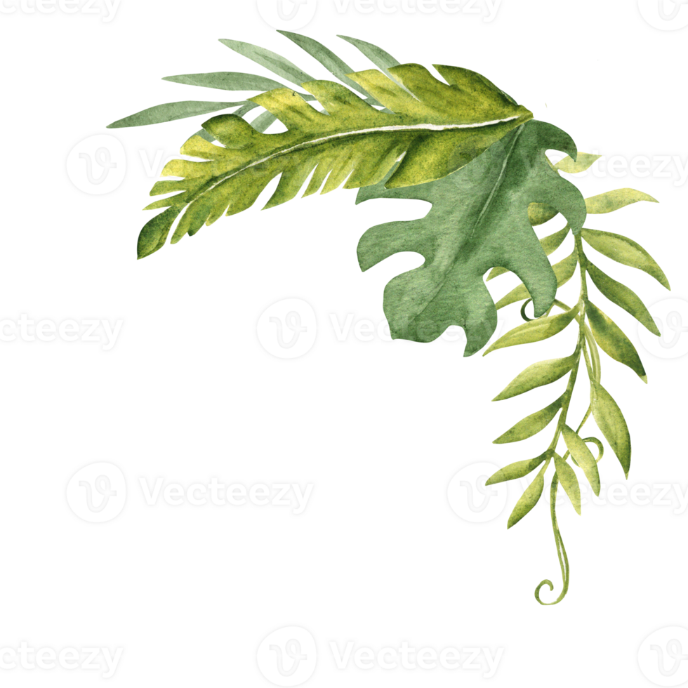 Tropical Leaves Corner Composition. Bouquet from Eucalyptus, Monstera and Banana Palm with Liana. Watercolor Hand drawn botanical illustration. For cards, invitations. png