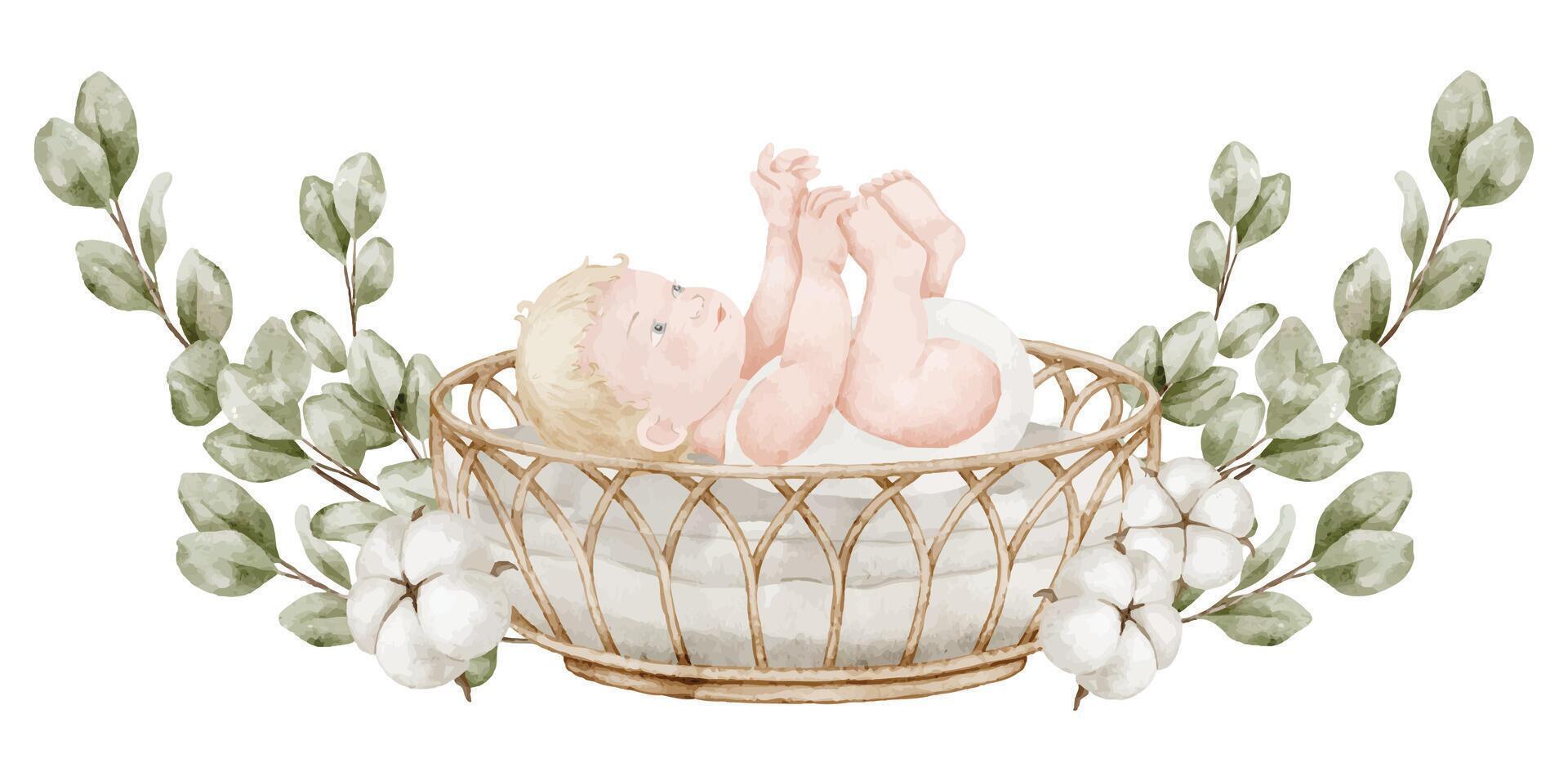 Watercolor illustration of a Baby lying in a wicker Basket with cotton flowers and eucalyptus branches. Drawing of cute Infant in cradle for baby shower greeting cards or newborn party invitations. vector