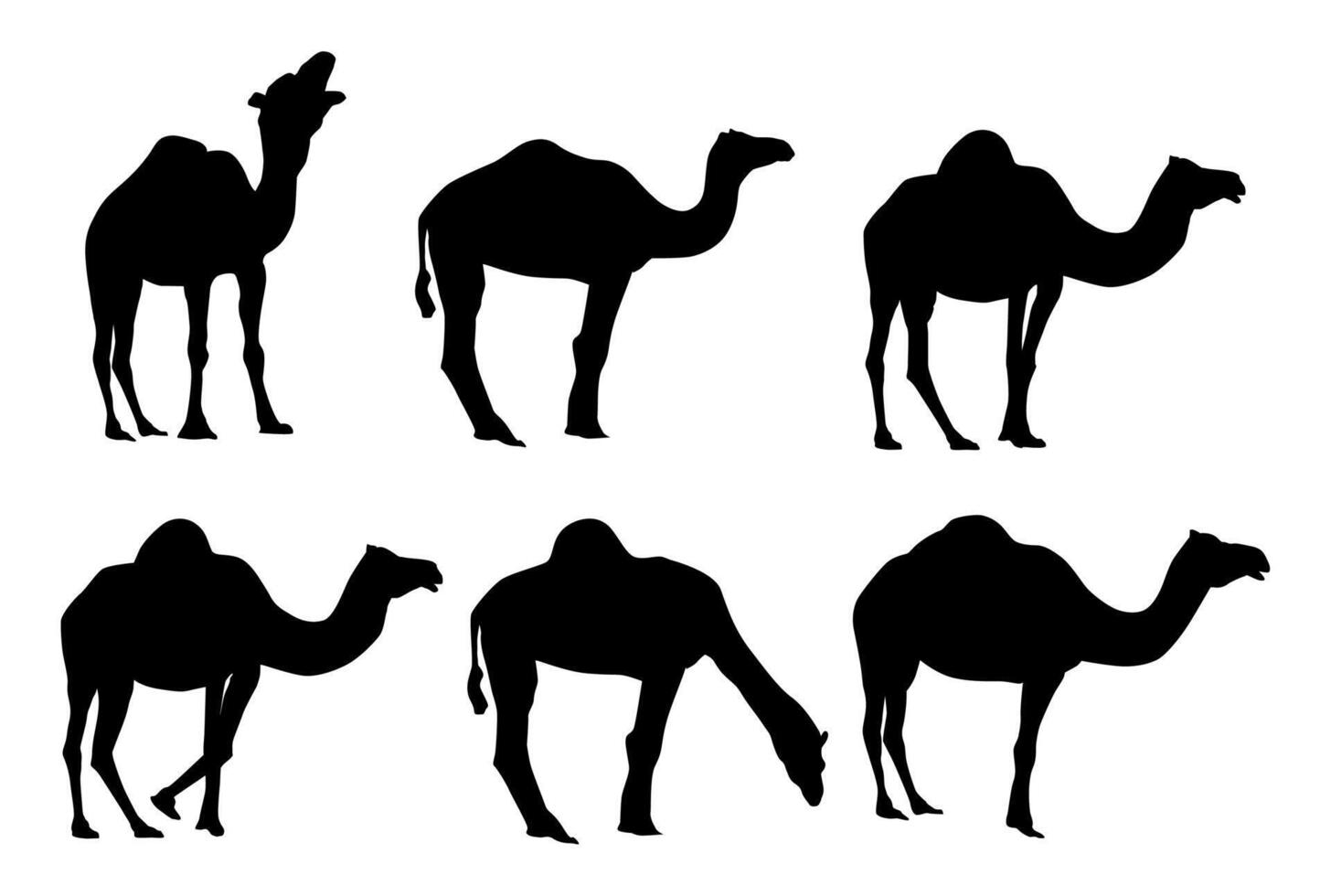 Silhouettes of Camel in different pose, full body standing isolated. Pack animals in desert regions like Mecca and Africa. vector