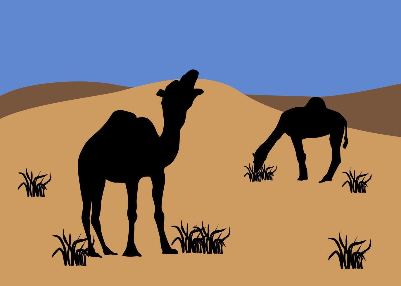 Landscape illustration of two Camel in the desert grazing in summer seasonal with copy space, flat . vector