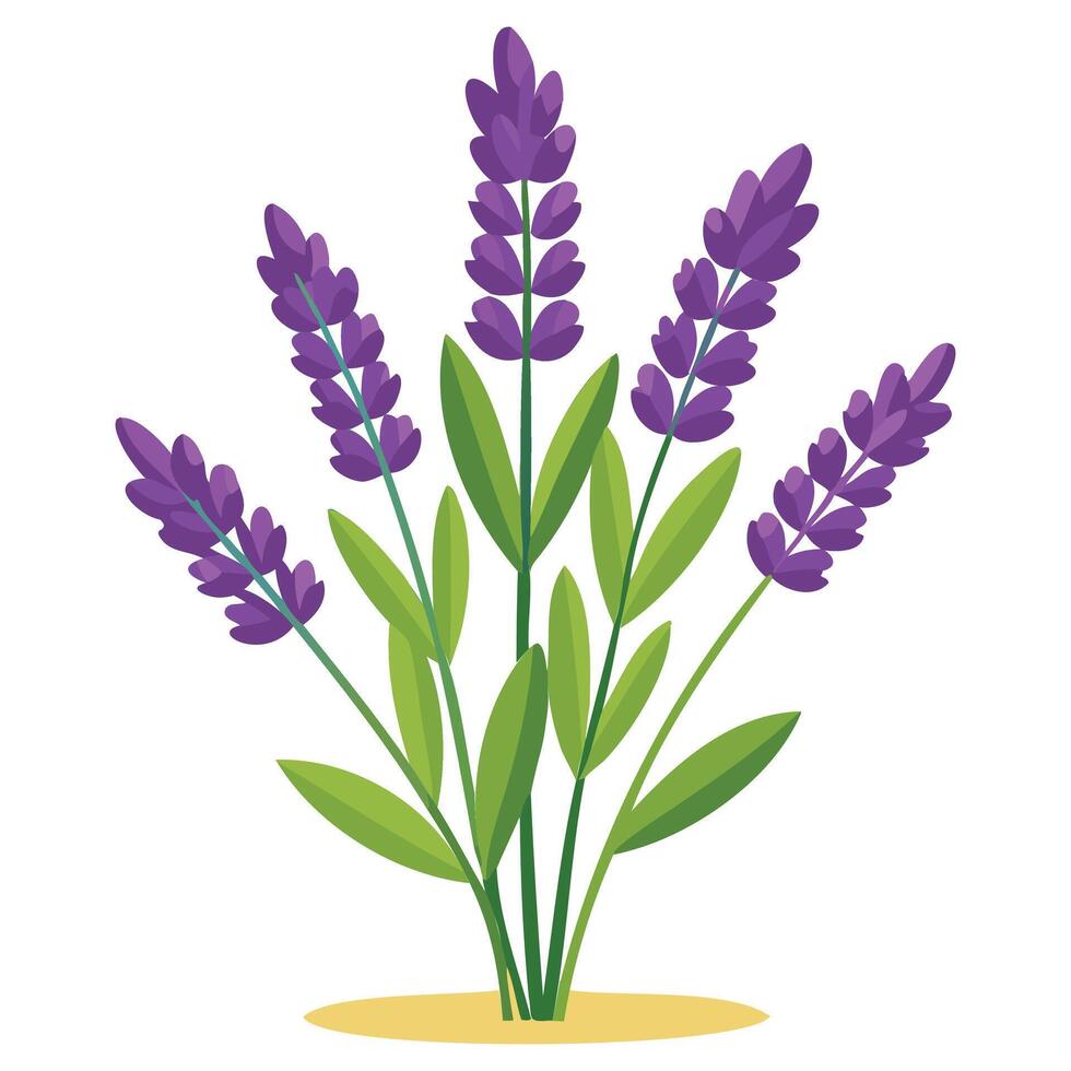 Minimal Lavender Plant Art vector
