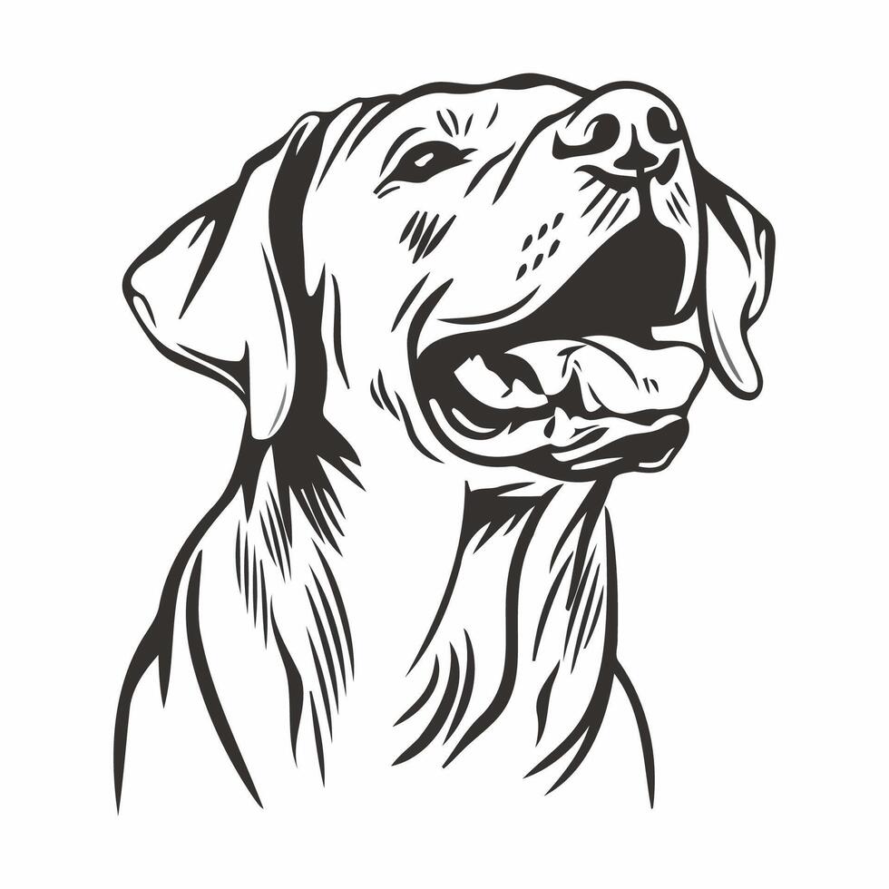 Detailed Dog Face Line Drawing vector