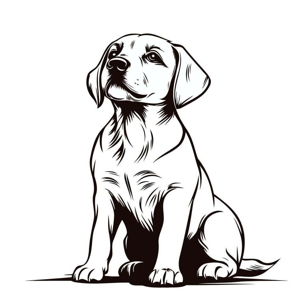 Sitting Puppy With Sad Expression vector