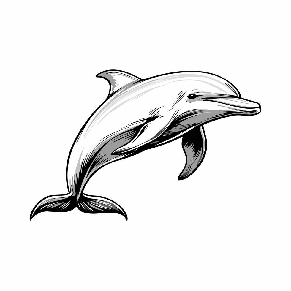 Realistic Dolphin Jumping In Ocean vector