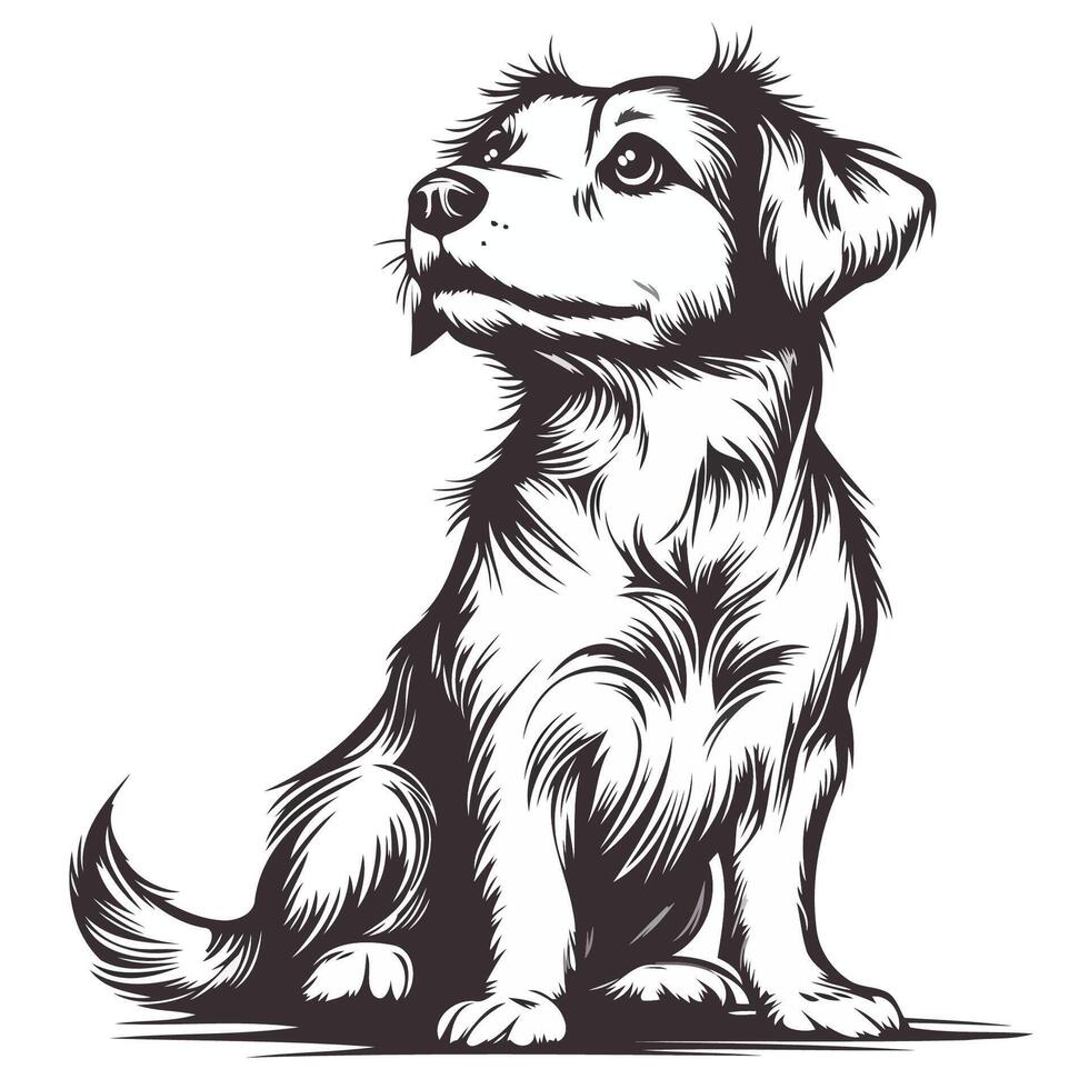 Fluffy Dog Looking To The Side vector