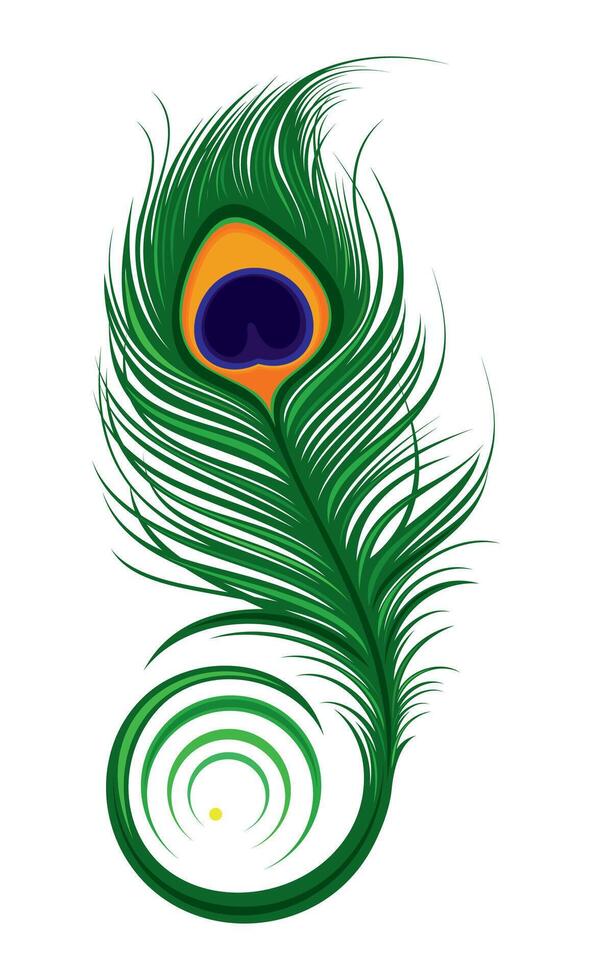 Artistically drawn, stylized, peacock feather vector