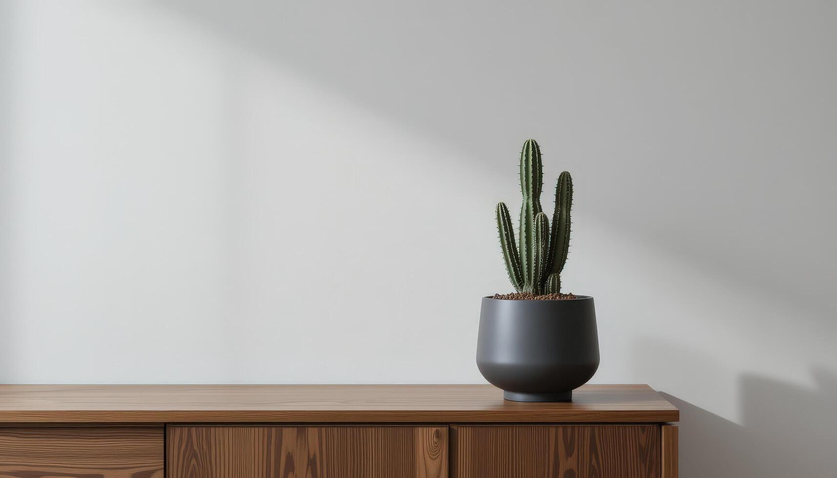 Modern Indoor Decor Features a Cactus in a Stylish Pot on a Wooden Cabinet in Natural Light photo