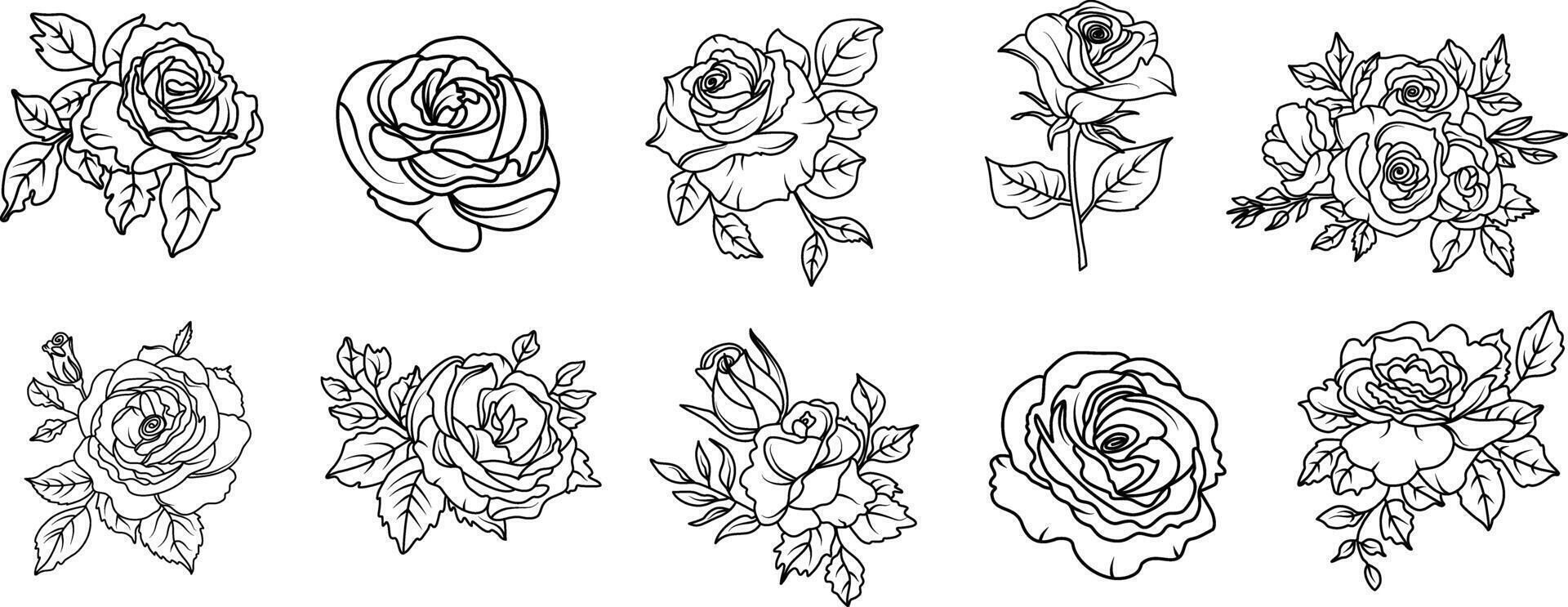 Hand drawn roses flower line art illustration isolated with floral botanical elements nature outline and sketch style vector