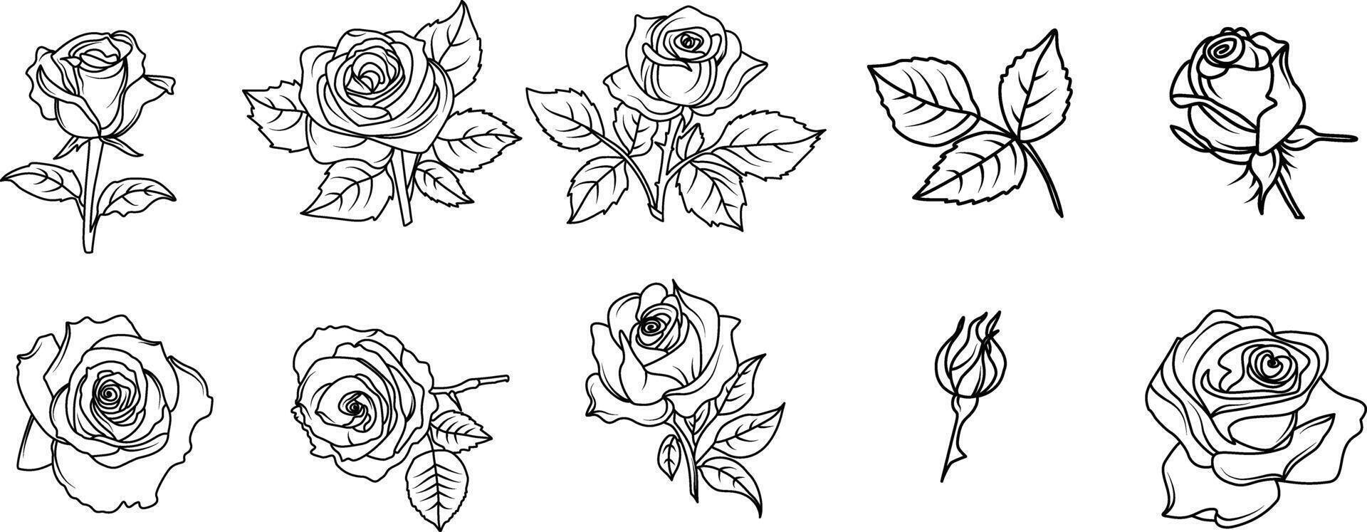 Hand drawn rose flowers line art illustration with floral botanical elements nature outline and sketch style isolated on white background vector