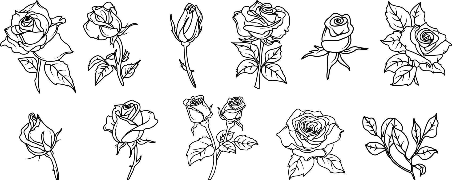 Hand drawn roses flowers line art illustration with floral botanical elements nature outline and sketch style isolated on white background vector