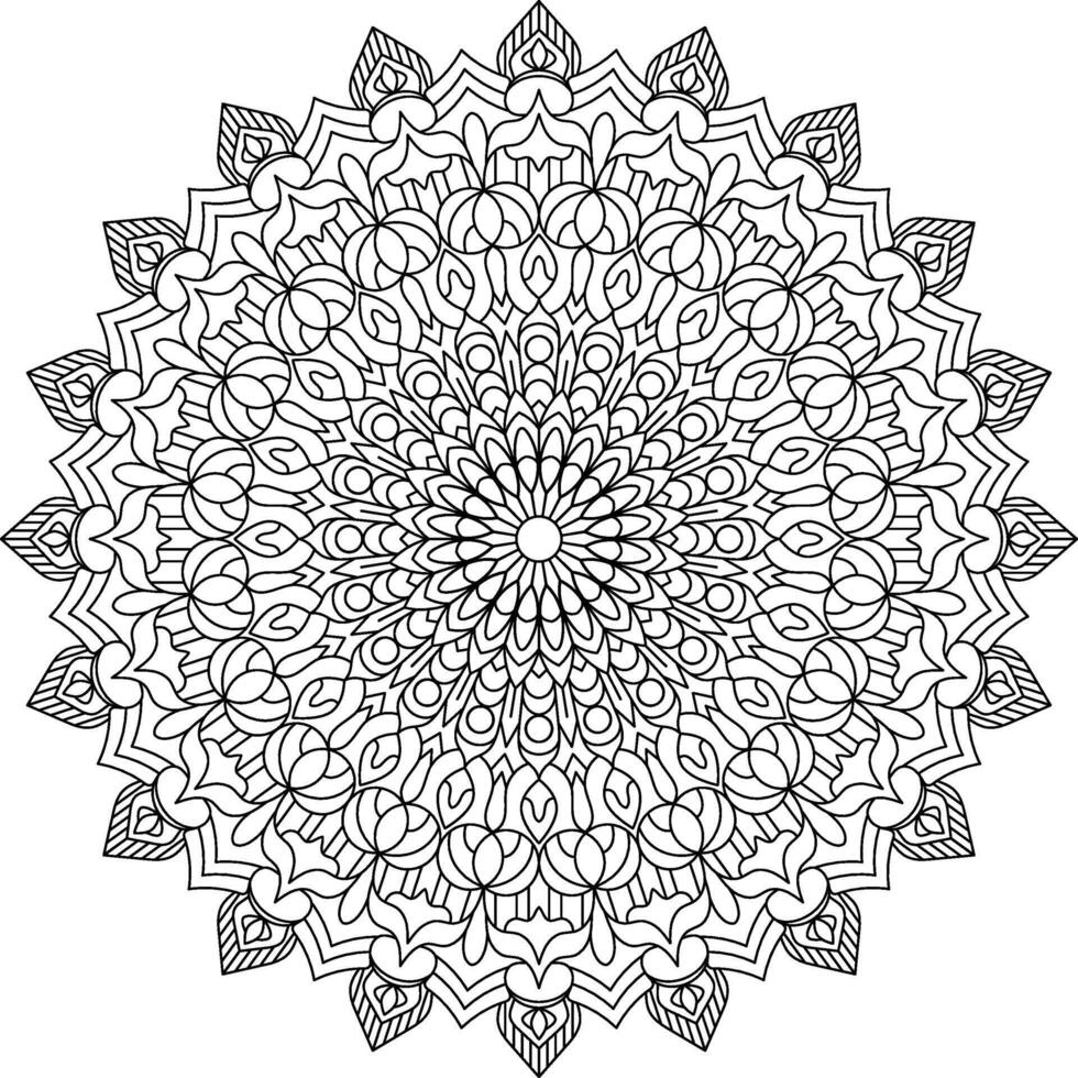 Intricate Floral Mandala Art for Relaxing Coloring and Creative Design Projects vector
