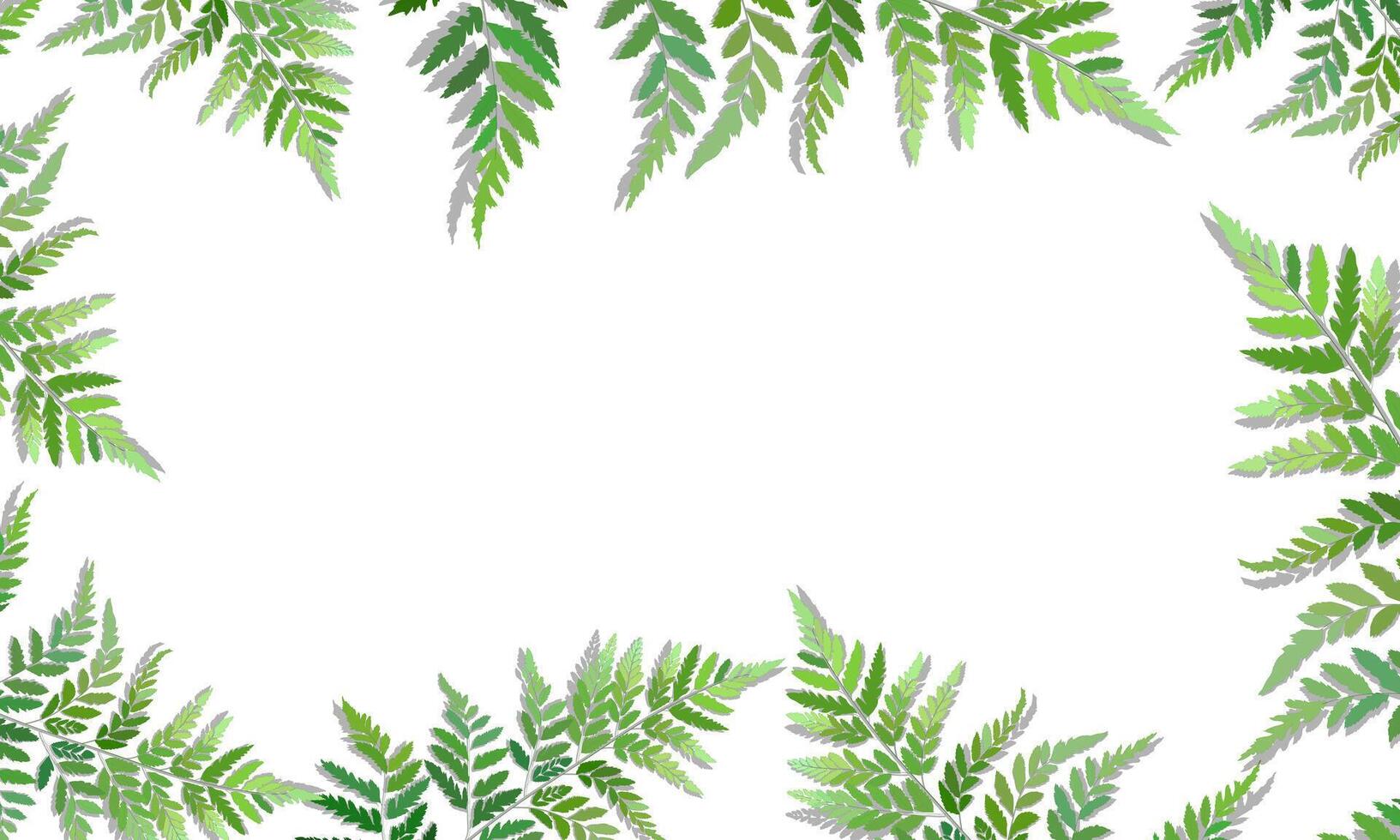 Tropical green leaves frame isolated on white background. natural border with copy space. vector