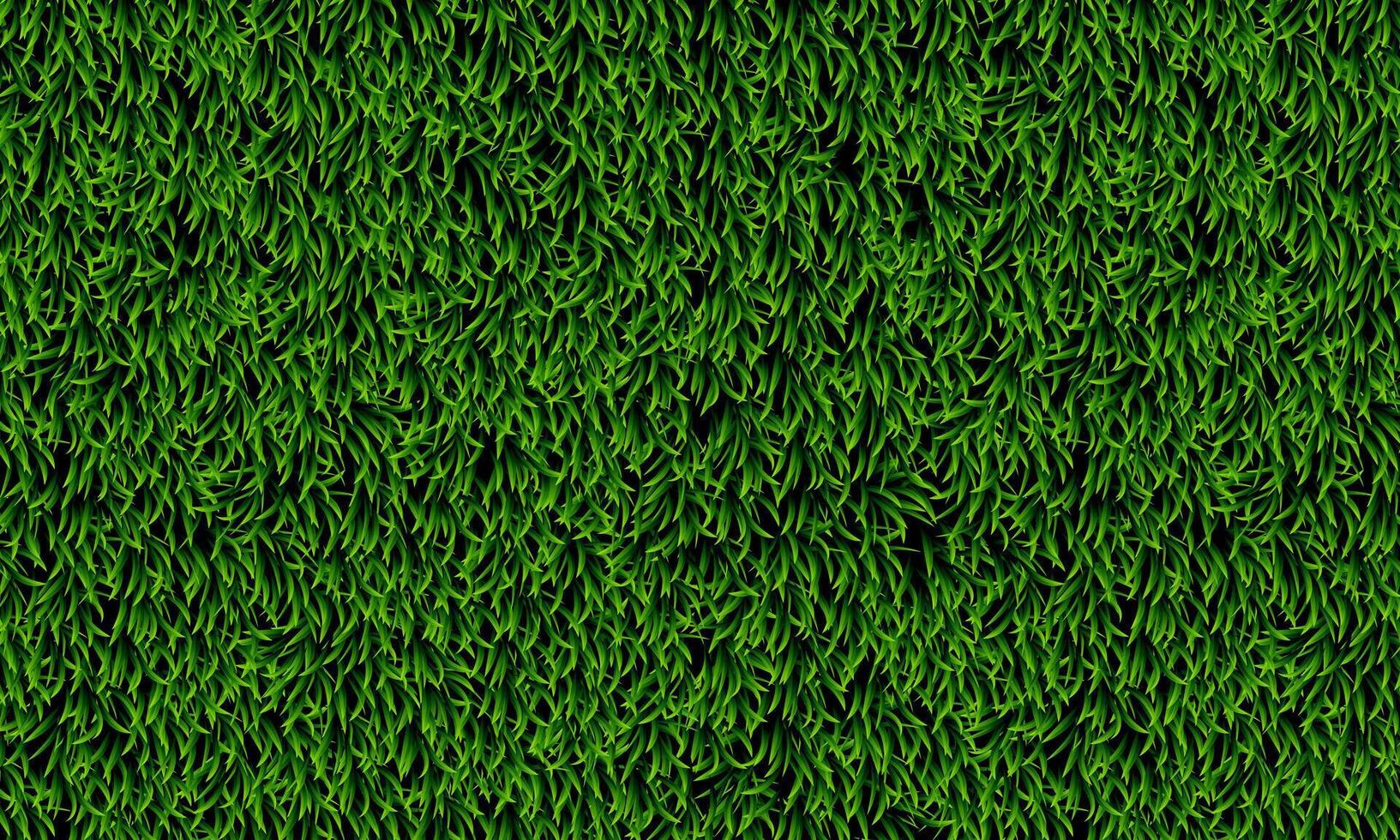 Abstract green grass texture. Fresh grass pattern background. vector