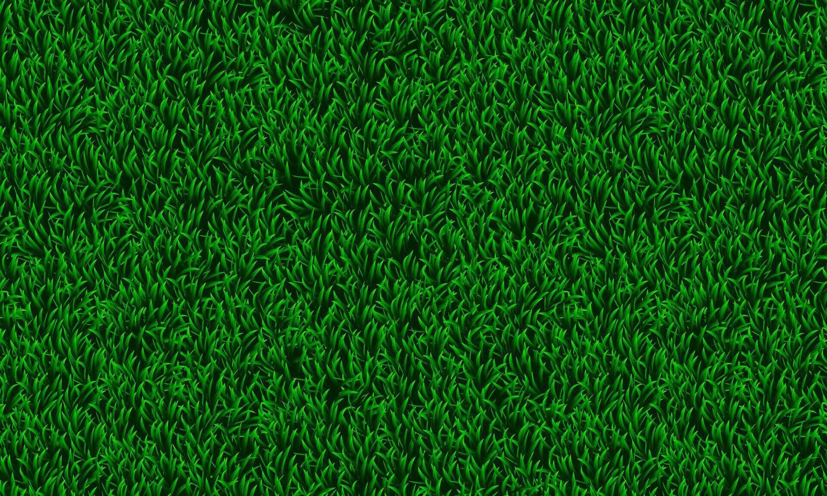 Abstract green grass texture. soft green lawn background. vector