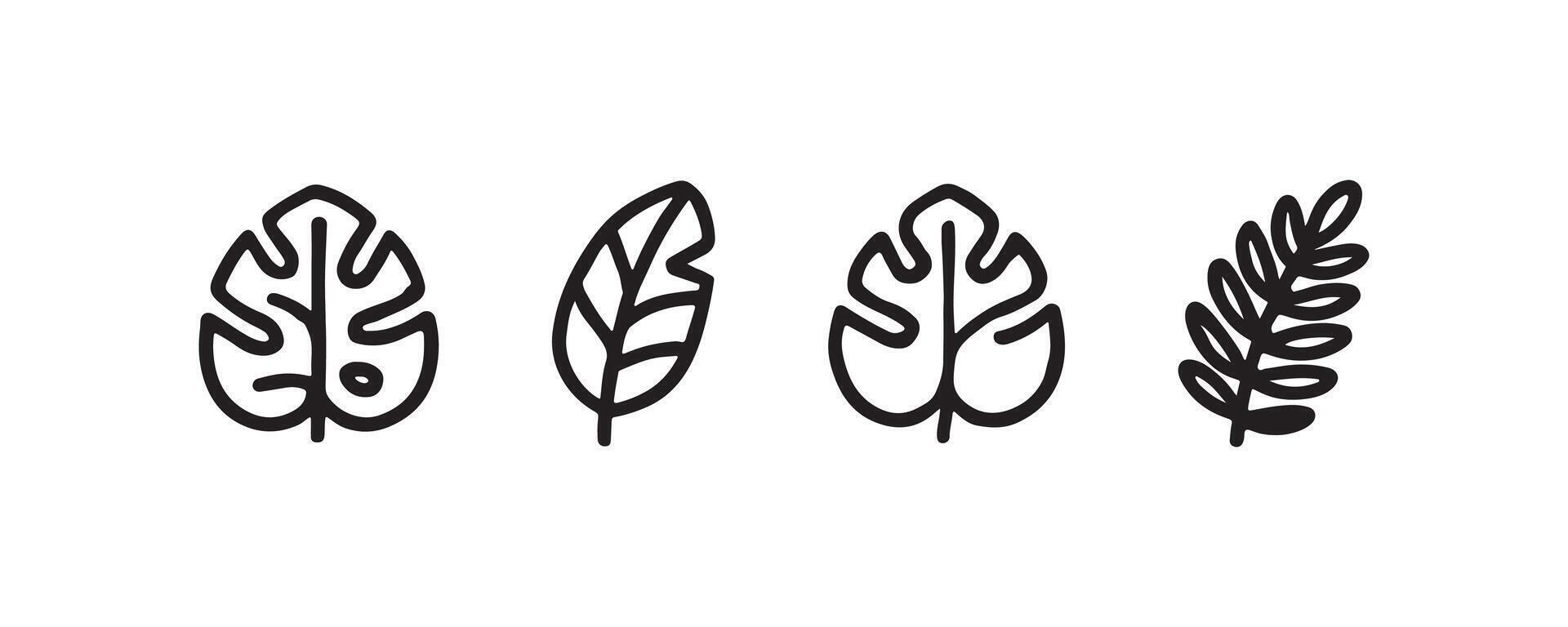 Tropical leaf icon set in outline style vector