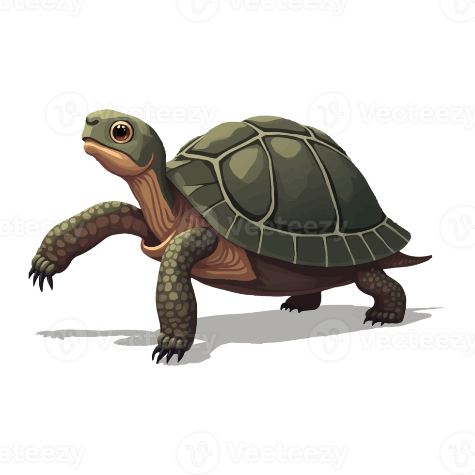 A sleek, modern illustration featuring a realistic turtle walking png