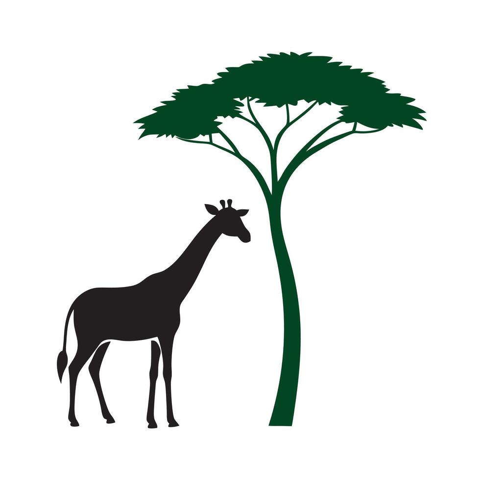 Giraffe Silhouette Grazing Near Acacia Tree vector