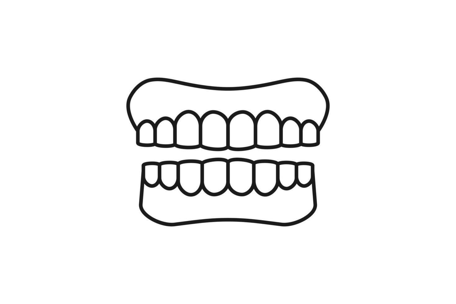 complete human teeth structure icon outline vector