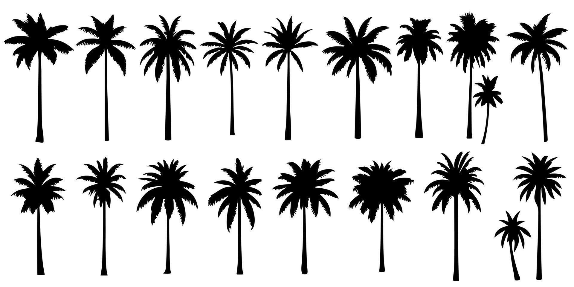Set silhouettes of palm trees on a white background in a minimalist style. Ideal for tropical, summer and travel themes. Design for posters, backgrounds, prints, web design and printing. vector