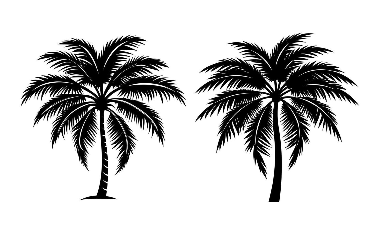 Coconut tree silhouette with white background vector