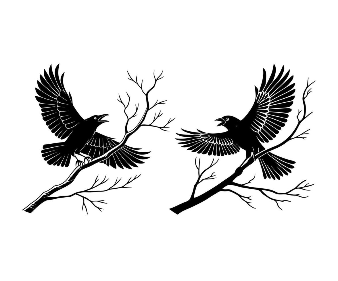 Flying crow bird silhouette vector