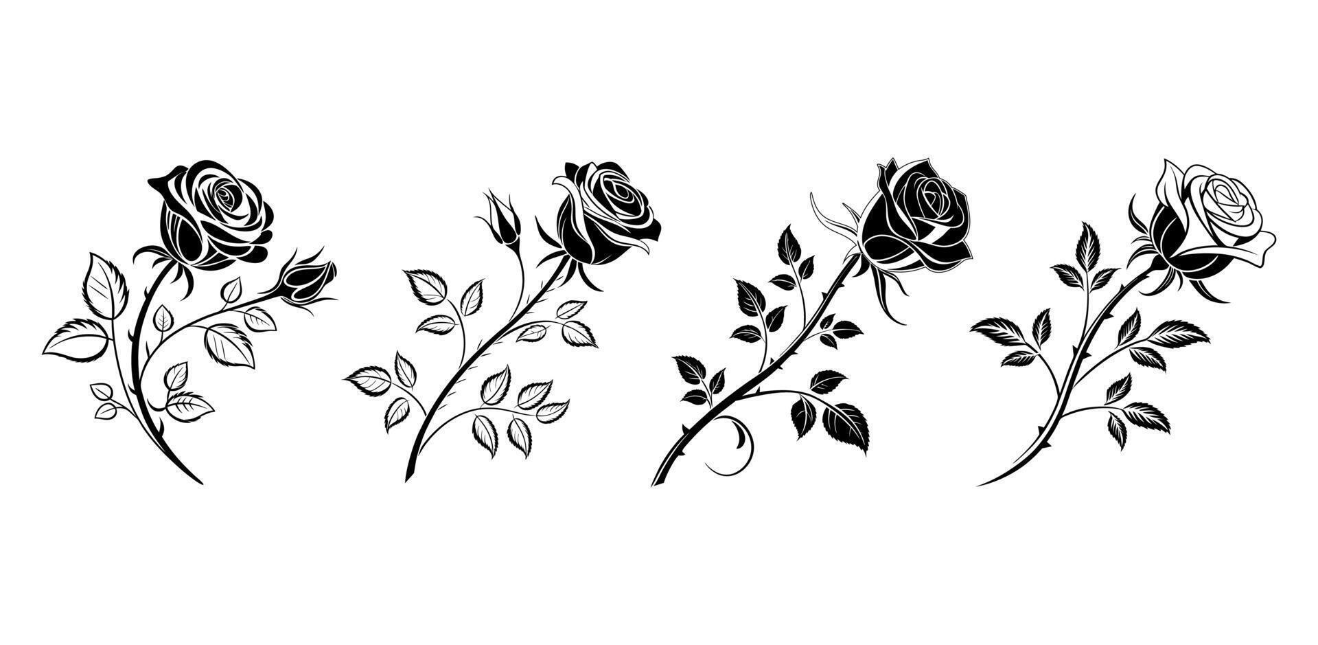 Rose flower collection vector