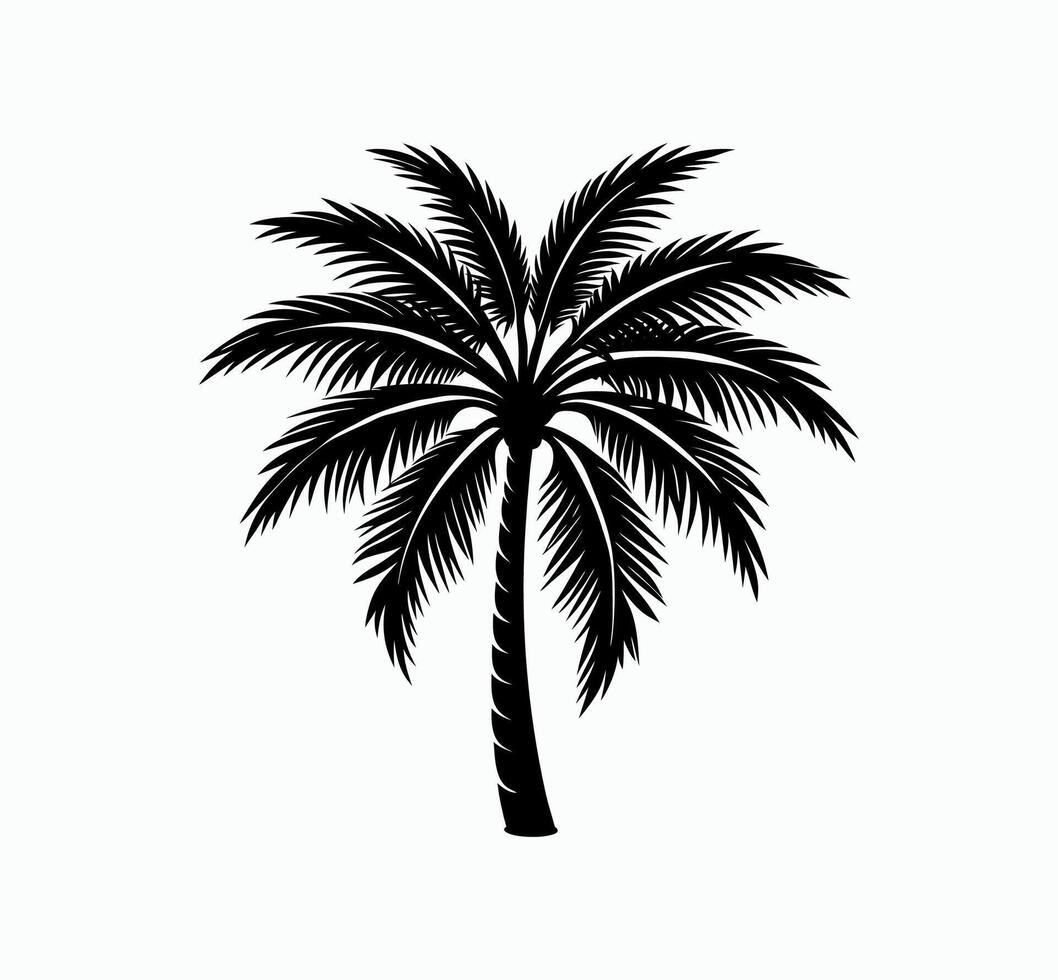 Silhouette of palm tree vector