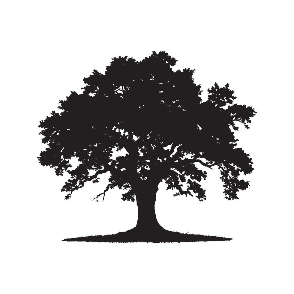 oak tree silhouette isolate on white background vector