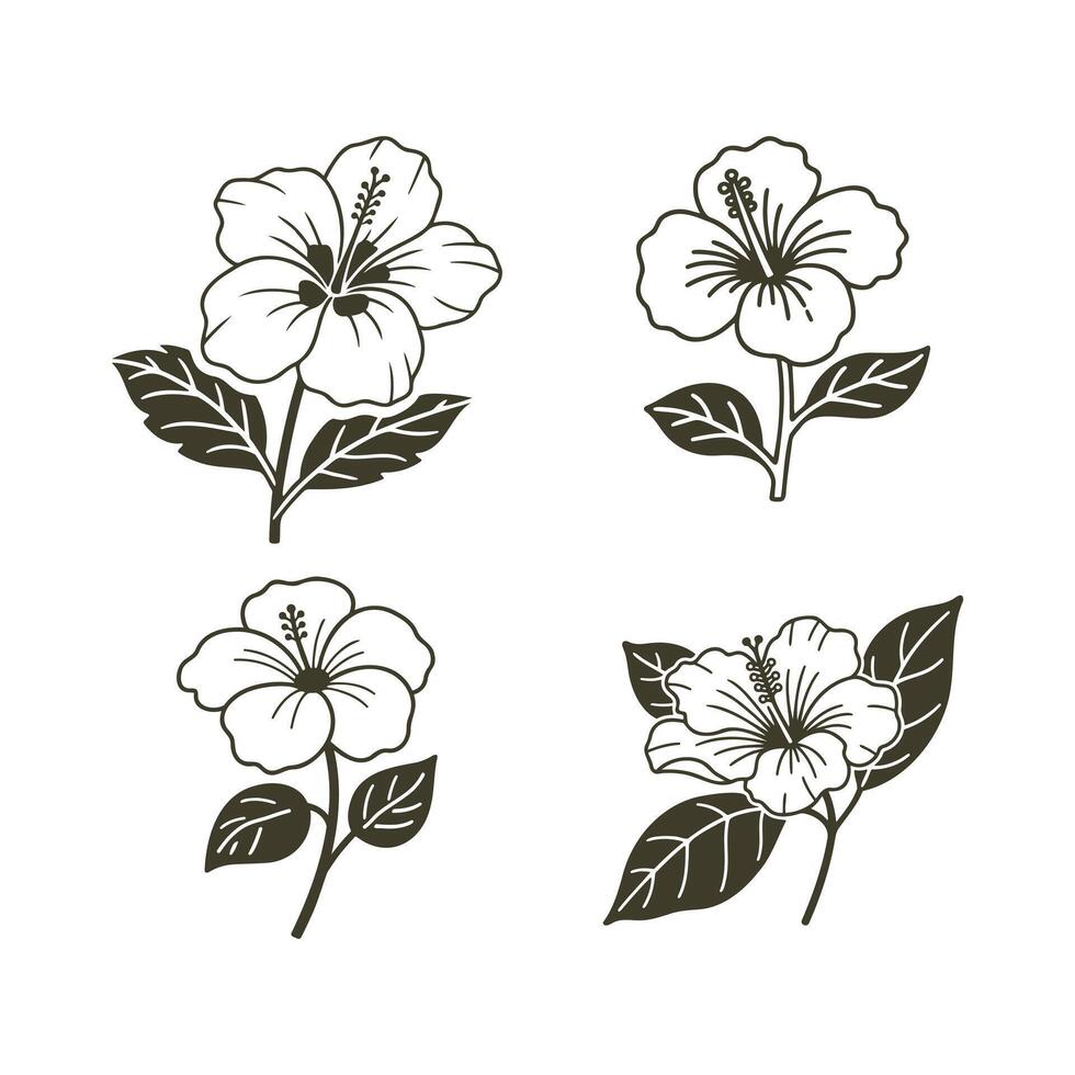 Hibiscus Flowers Line Art Icon Set, Hibiscus Flower with Leaves vector