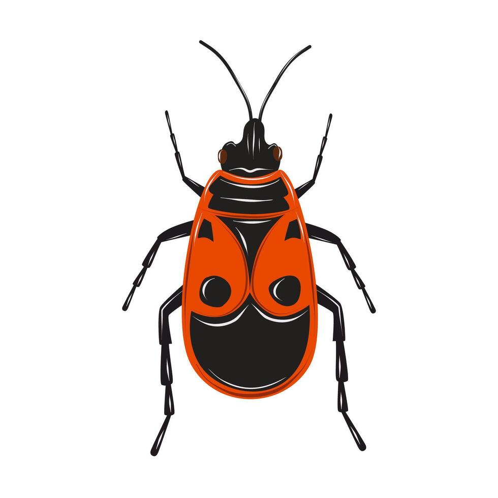 Firebug insect on a white background. Red and black beetle. Isolated drawing illustration. vector