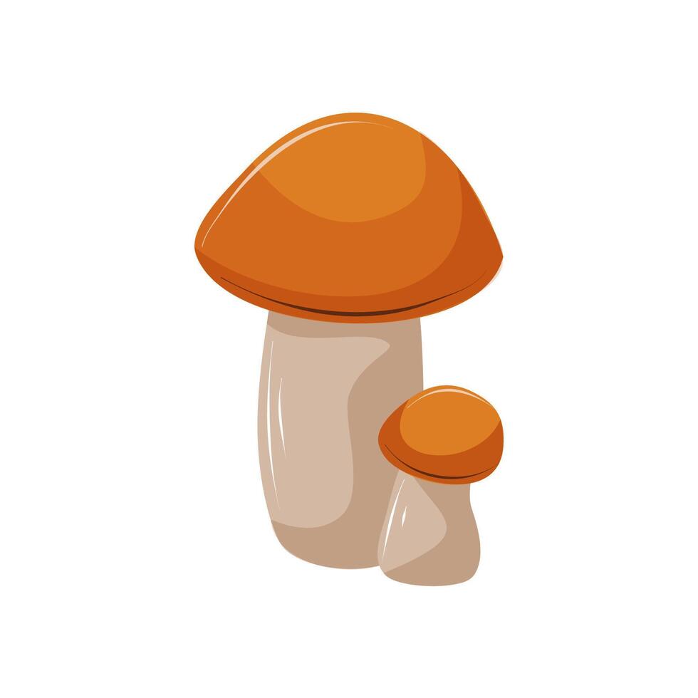 Two edible mushrooms of different sizes on a white background. Forest food. White mushroom, birch bolete. Isolated illustration. vector