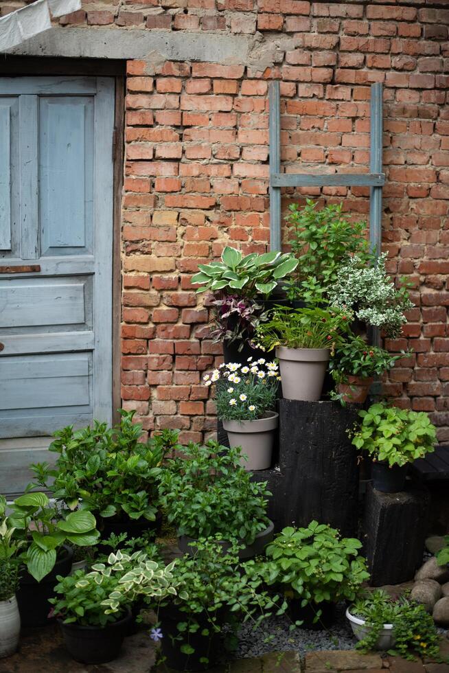 A brick wall photo
