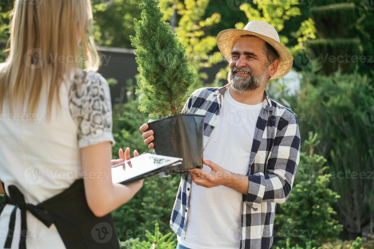 Taking a plant in a pot.. Woman and man are working in the garden together with plants photo