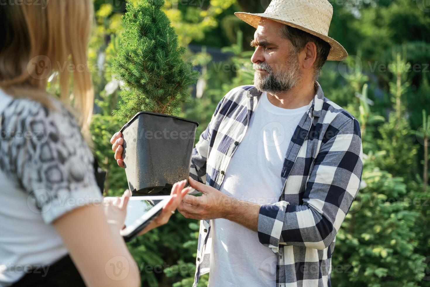 Taking,, a plant in a pot. Woman and man are working in the garden together with plants photo