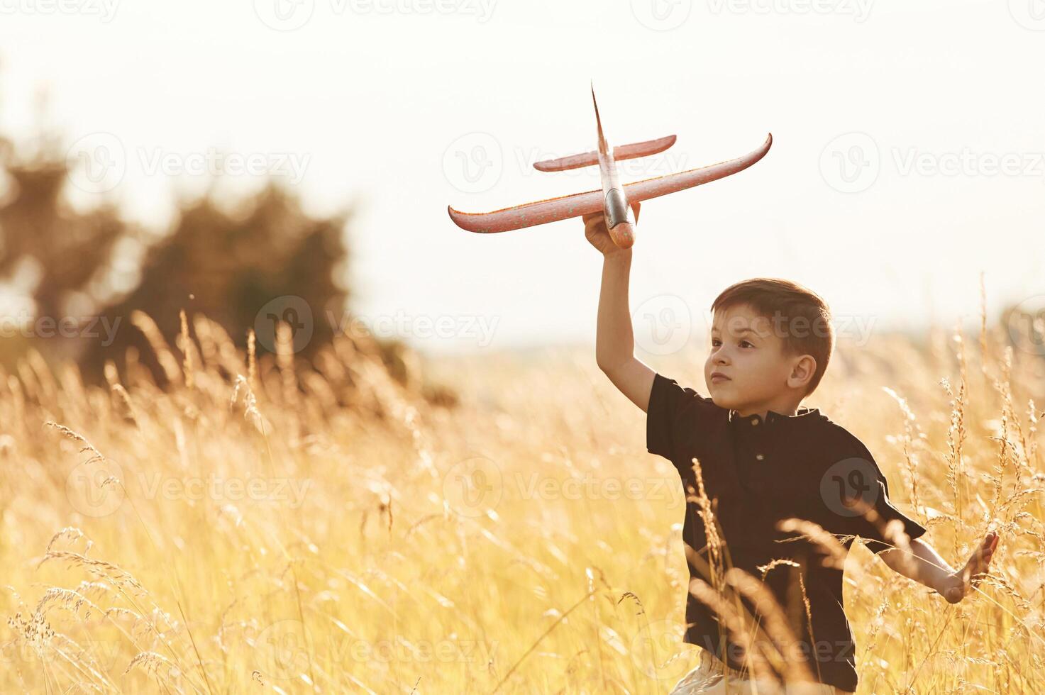 Red colored, toy ,plane, playing. Little boy is having fun outdoors at summertime photo