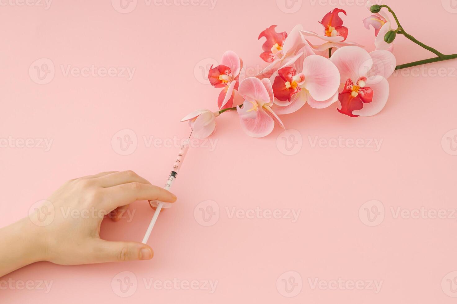 Hand injecting pink liquid into orchid flower with syringe on pastel pink background. Minimal surreal bloom concept. Trendy nature and science idea backdrop. Flat lay style. Top view banner. photo